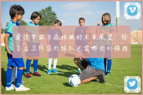 爱德华兹与森林狼的未来展望：除了后卫阵容外球队还需哪些补强措施