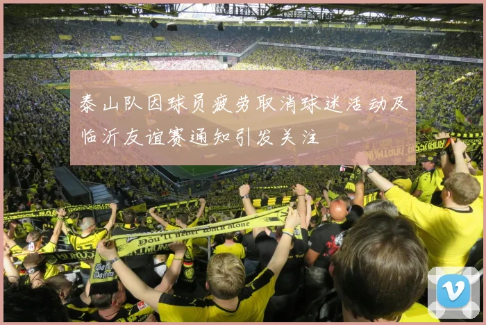 泰山队因球员疲劳取消球迷活动及临沂友谊赛通知引发关注