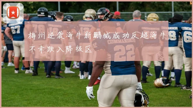 梅州逆袭海牛新鹏城成功反超海牛不幸跌入降级区