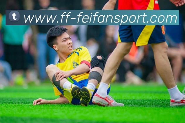 非凡体育APP 封面图