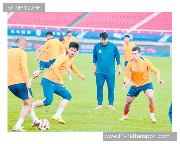 泰山队外援已齐聚备战冬训媒体人称处罚影响有限